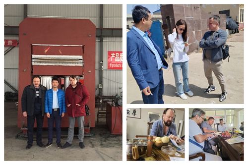 সম্পর্কে সর্বশেষ কোম্পানী সমাধান ইউরোপীয় গ্রাহকরা রাবার ছাঁচনির্মাণ ভলকানাইজিং মেশিন কিনেছেন